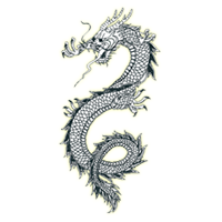dragon.png