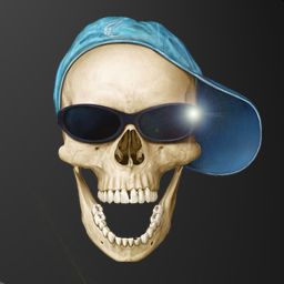 skull